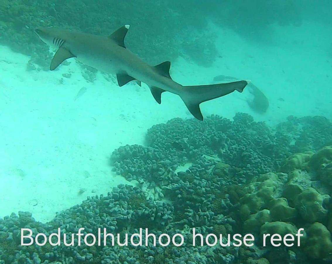 Surfretreat Hotel Bodufolhudhoo Luaran gambar