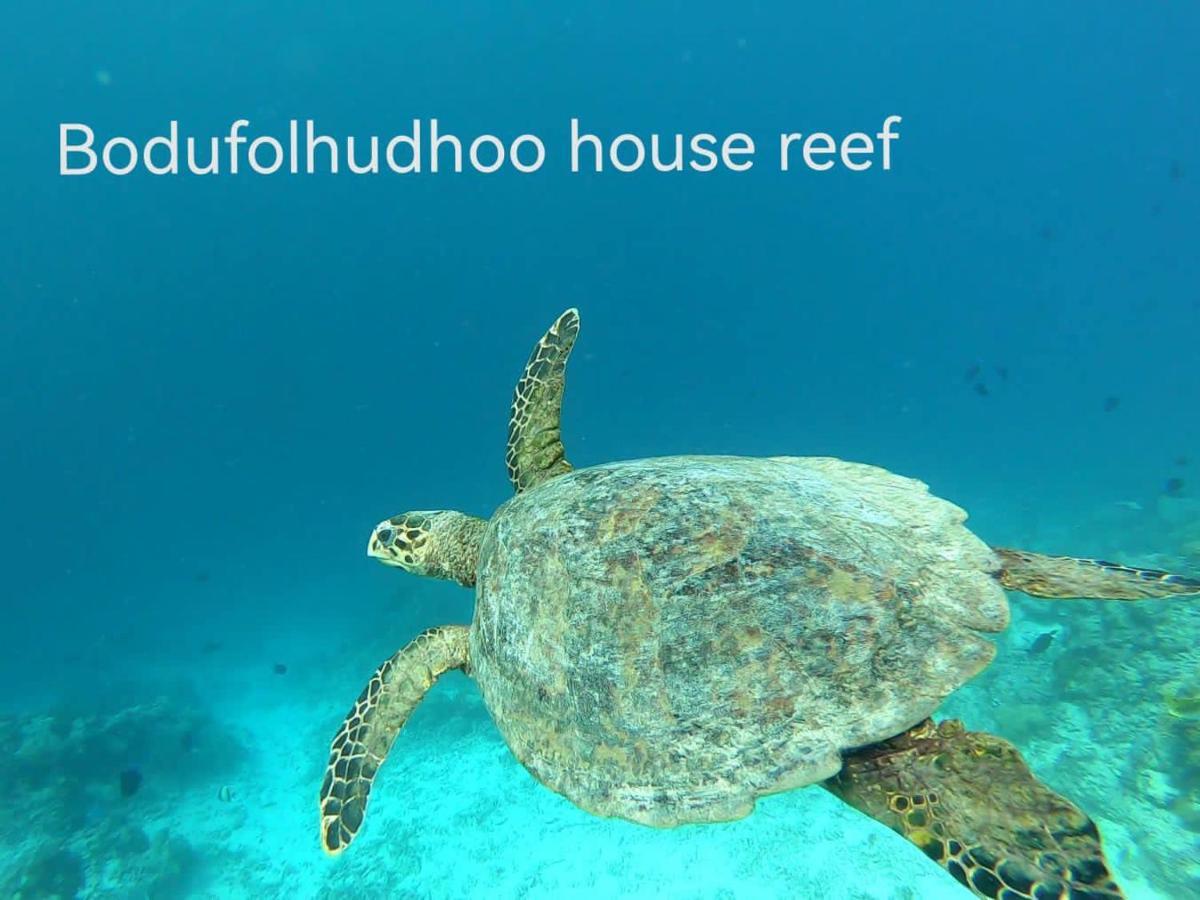 Surfretreat Hotel Bodufolhudhoo Luaran gambar
