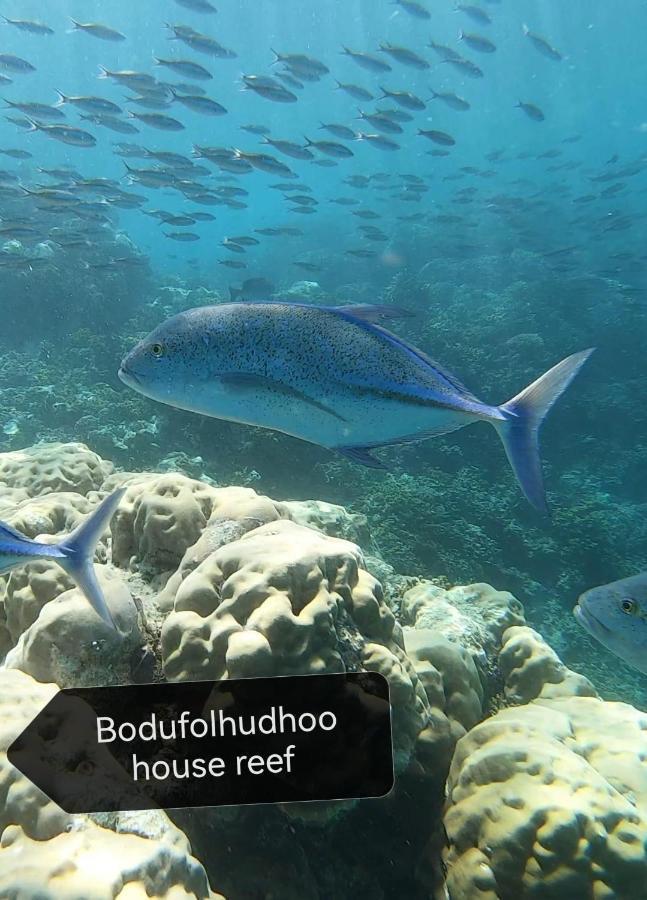 Surfretreat Hotel Bodufolhudhoo Luaran gambar